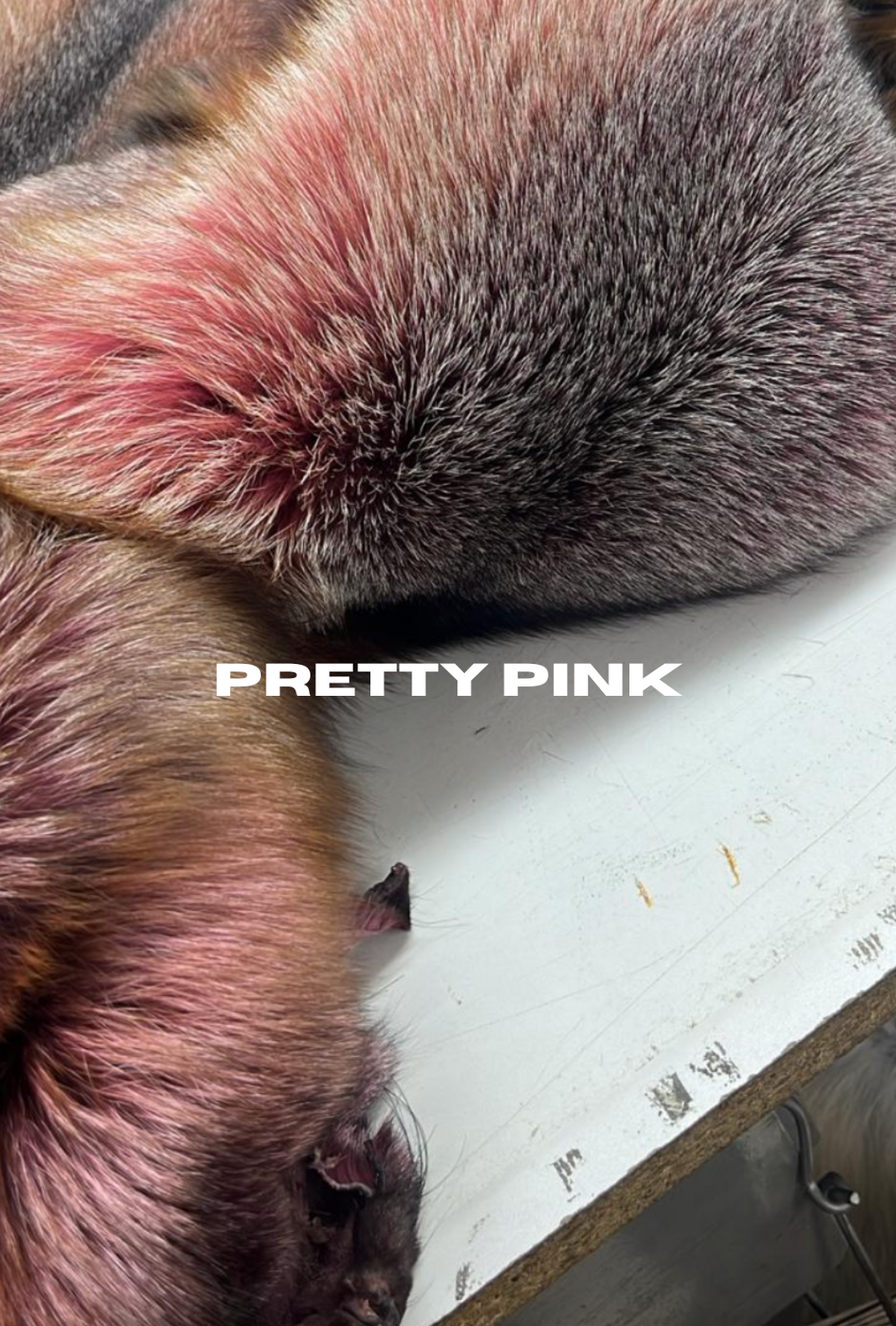 Trinity Mid Length Coat (Green)