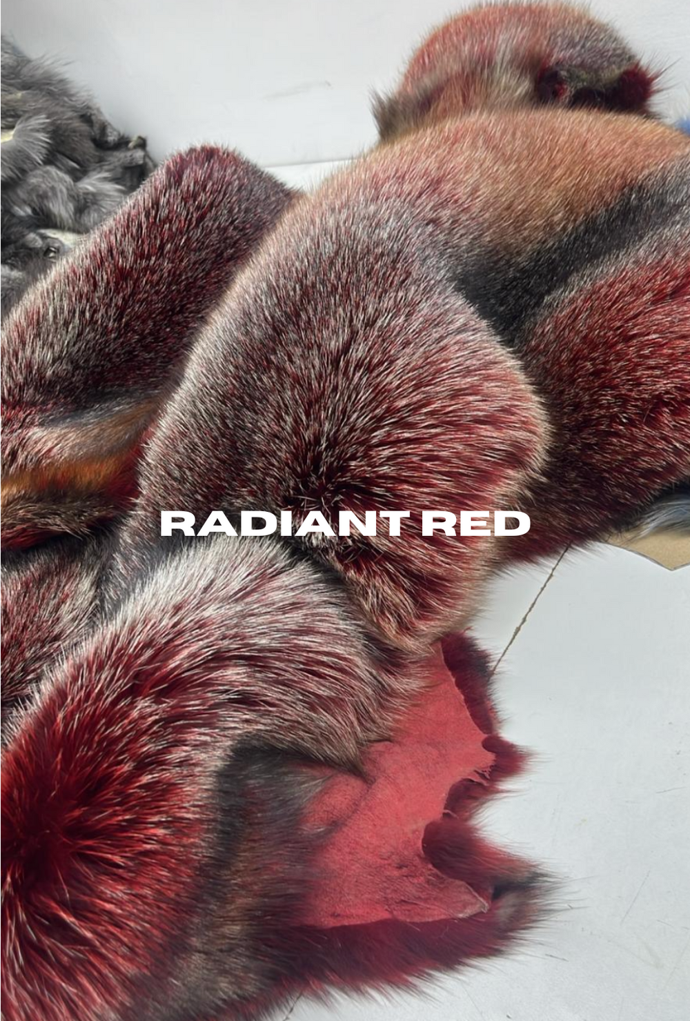 Chloe Cropped Jacket (Blue + Choose Color)