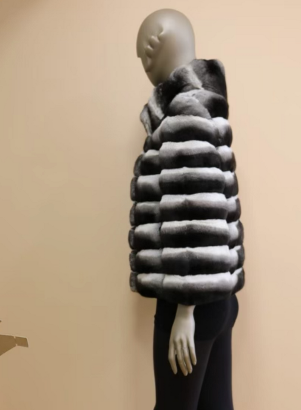 Chinchilla Jacket Horizontal