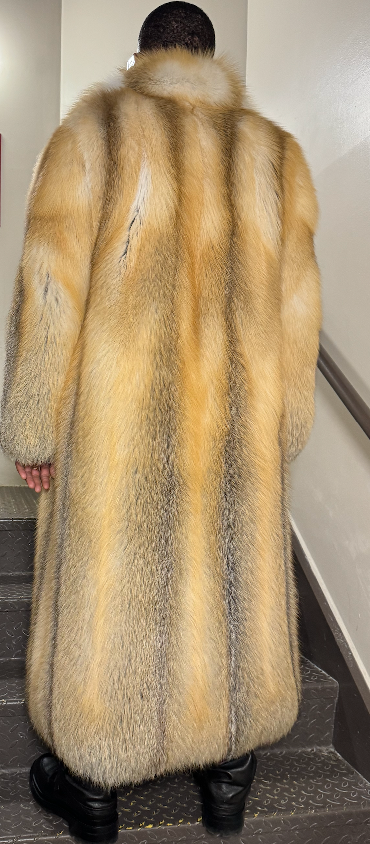 Fancy Full Length Golden Island Fox Fur – The Fancy Success