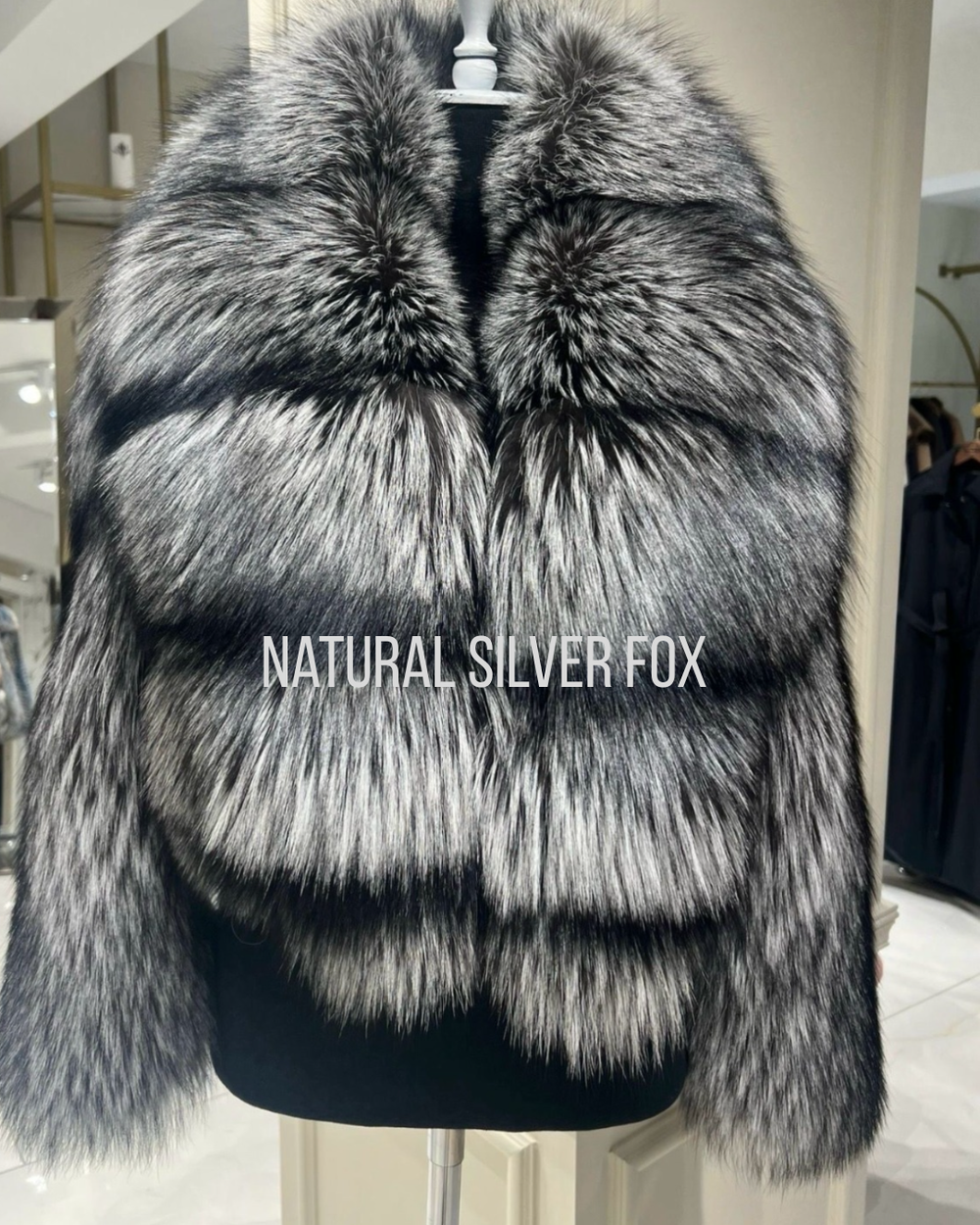 Sasha Silver Fox