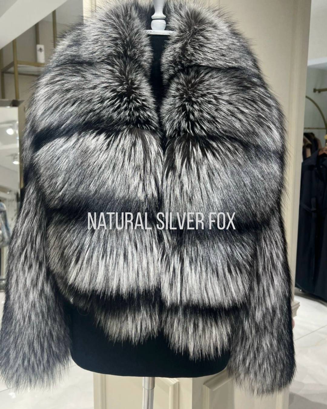 Sasha Silver Fox
